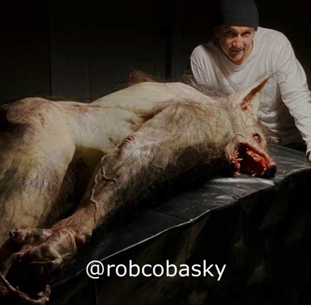 گرگینه در ایران