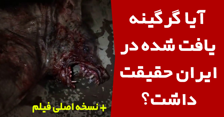 آیا ویدیوی گرگینه در ایران ، واقعی است؟