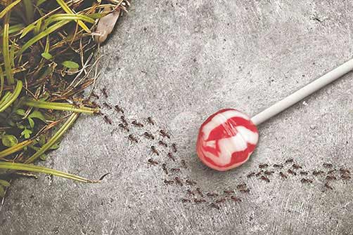 رازهای تبلیغات