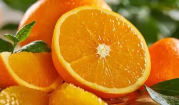 پرتقال در کجا یافت می شود؟