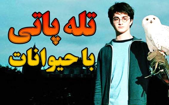 تله پاتی با حیوانات