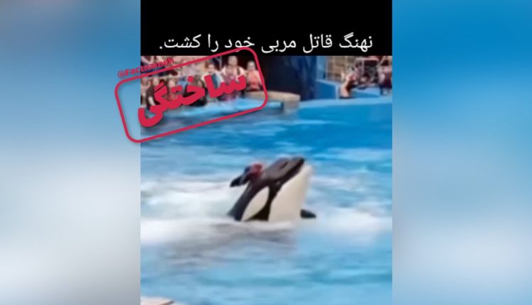 حمله نهنگ قاتل