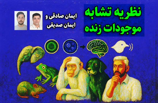 نظریه تشابه