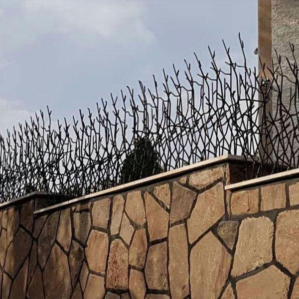 انواع حفاظ شاخ گوزنی